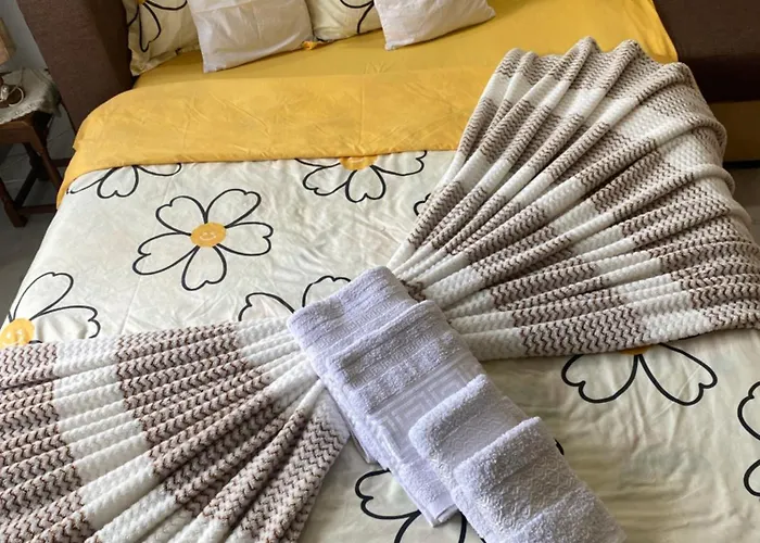 Anca Drambarean