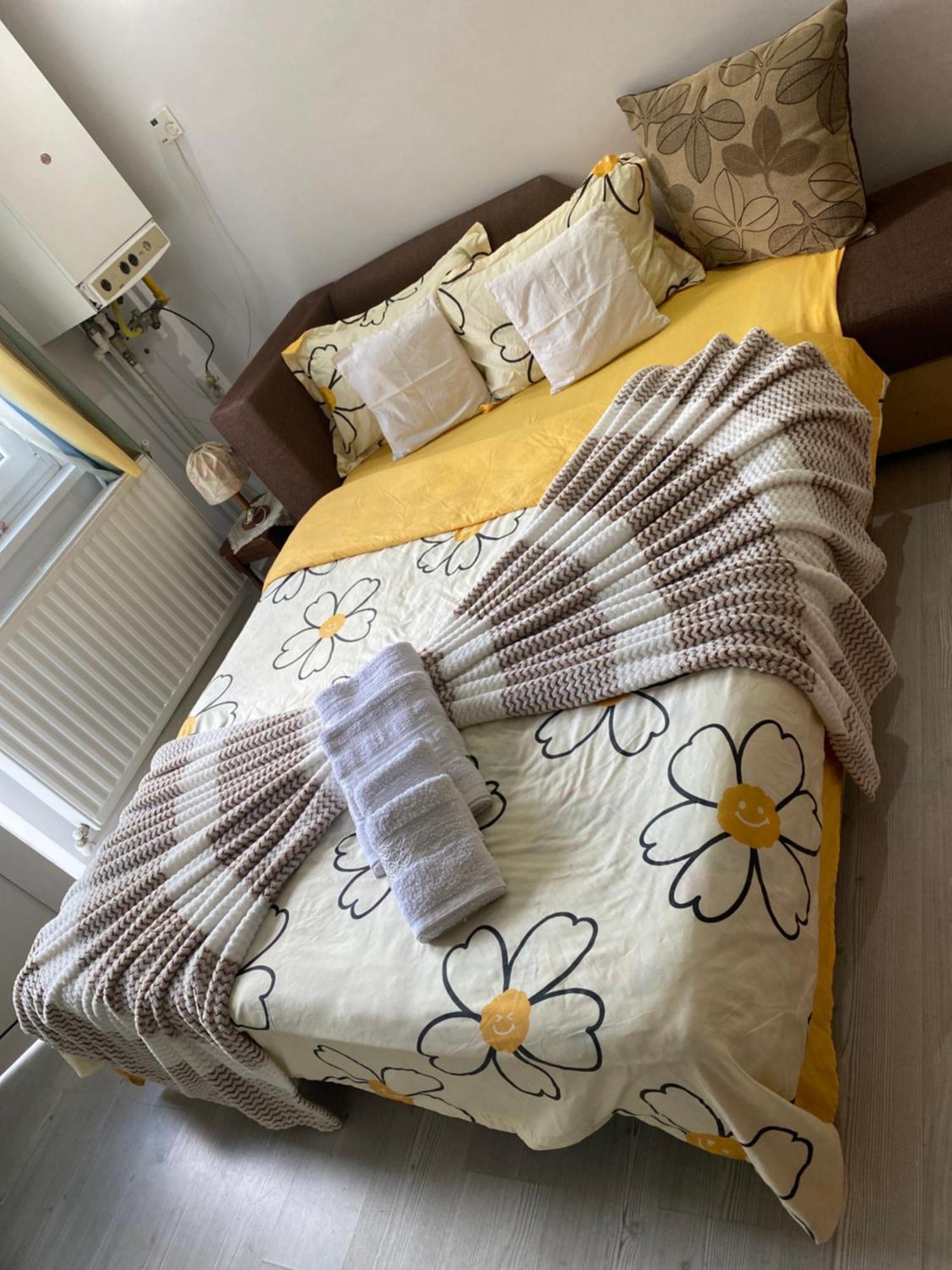 Apartment Anca Drambarean *