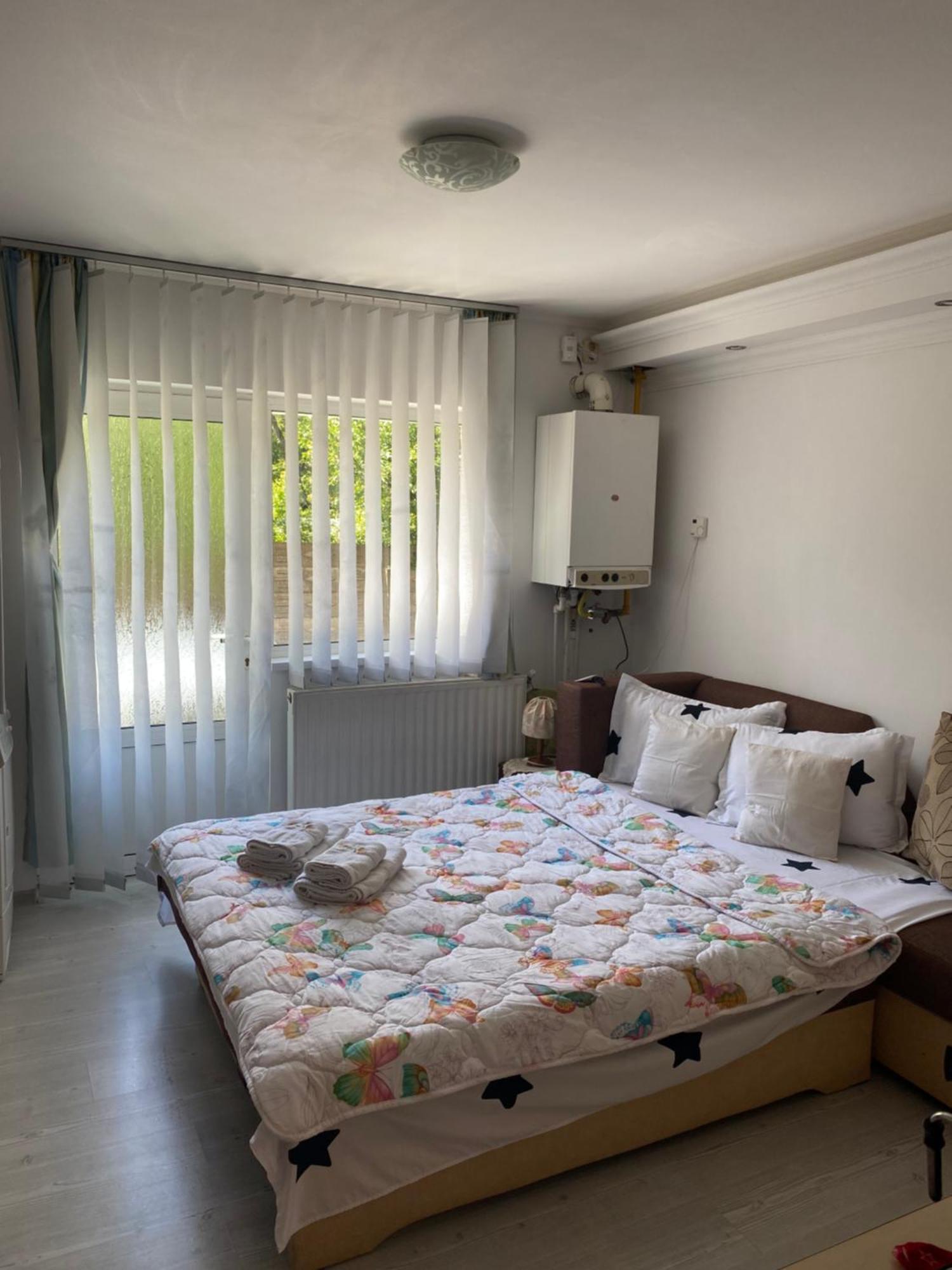 Anca Drambarean * Alba Iulia