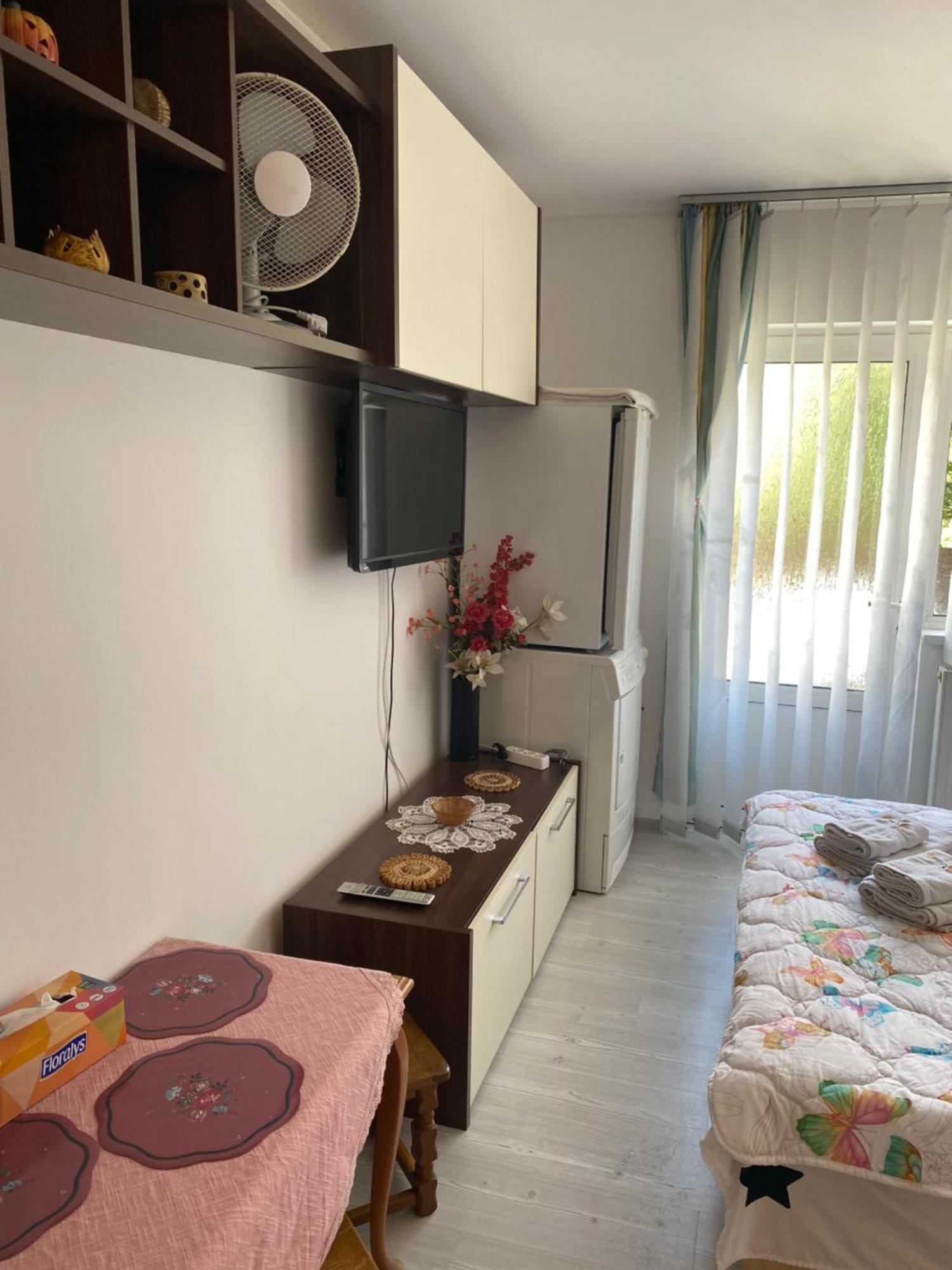 Anca Drambarean Apartment *